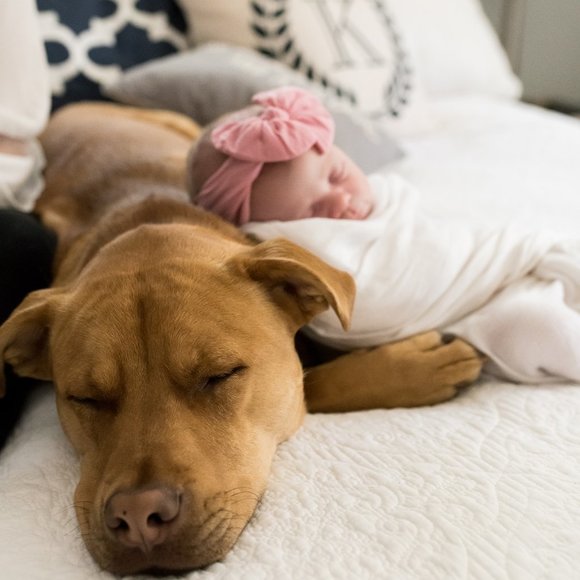 Meet your Posher, Shannon - Picture 2 of 6